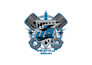 do dst,pes,embroidery digitizing any size within few hours